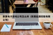 新冀电子游戏公司怎么样（新冀能源控股有限公司）