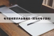 电子游戏常识大全集图片（常见的电子游戏）