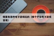 哪里有各种电子游戏玩的（哪个平台电子游戏容易）