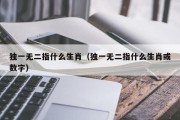 独一无二指什么生肖（独一无二指什么生肖或数字）