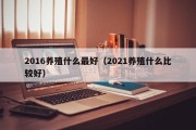 2016养殖什么最好（2021养殖什么比较好）