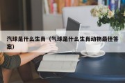 汽球是什么生肖（气球是什么生肖动物最佳答案）