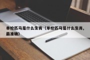 单枪匹马是什么生肖（单枪匹马是什么生肖,最准确）