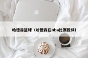哈德森篮球（哈德森在nba比赛视频）