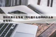 荷叶代表什么生肖（荷叶是什么动物的什么补充句子）